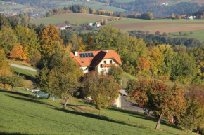 Отель Seppl Am Berg  Айхберг